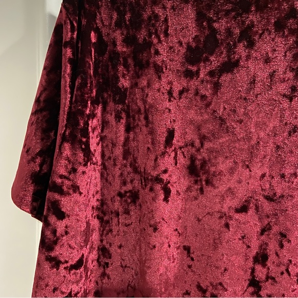 NWOT Crushed Velvet Amaryllis Short Sleeve Top, Size 1X - Picture 5 of 5